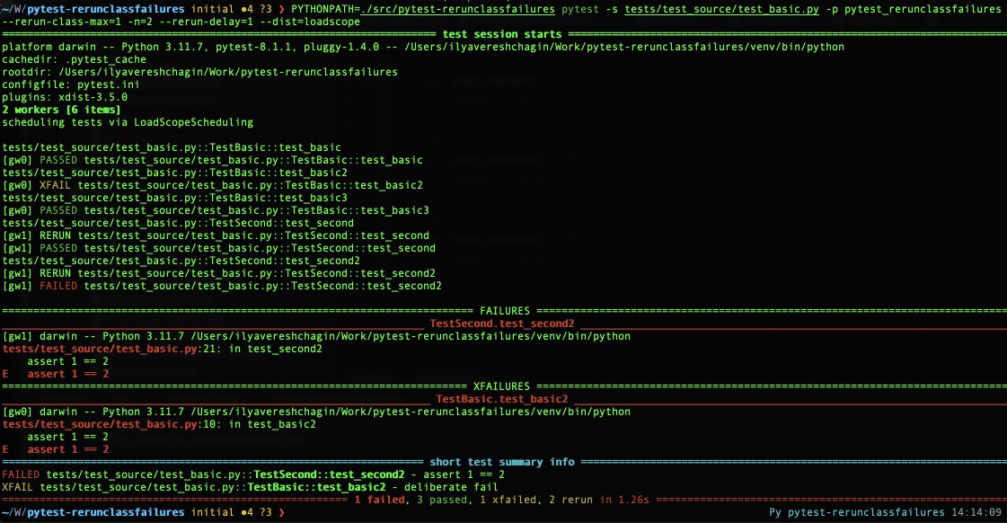 Output of test run with pytest-rerunclassfailures plugin